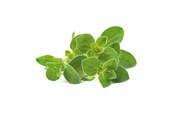 Inteligentny dom - Click & Grow Click and Grow - Smart Garden Refill 3-pack Oregano - SGR31X3
