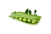 Inteligentny dom - Click & Grow - Smart Garden Refill 3-pack Dwarf Pea - SGR54X3