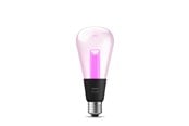 Inteligentny dom - Philips Hue Lightguide E27 Edison Bulb - 1-Pack *DEMO* - 929003151501