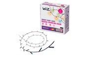 Inteligentny dom - WiZ Fairy Light 20M - 929004101222