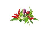 Inteligentny dom - Click & Grow Click and Grow - Smart Garden Refill 9-pack Chili Pepper Mix - PPMCPX9
