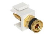 Akcesoria sieciowe - DeLOCK Modular Insert - 86303