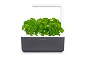 Dekoracje - Click & Grow - Smart Garden 3 Startkit - dark grey (SGS8UNI) - SGS8UNI