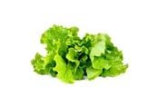 Inteligentny dom - Click & Grow Click and Grow - Smart Garden Refill 3-pack - Green Lettuce (SGR32X3) - SGR32X3