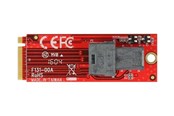 Dysk twardy - akcesoria - DeLOCK - Interface Adapter - SAS 12Gb/s - M.2 Card - 62721