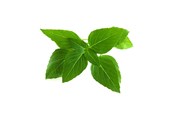 Inteligentny dom - Click & Grow Click and Grow - Smart Garden Refill 3-pack Thai Basil - SGR37X3