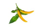 Inteligentny dom - Click & Grow - Smart Garden Refill 3-pack Yellow Chili Pepper - SGR60X3