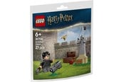 LEGO® - LEGO Harry Potter 30706 Lekcja quidditcha™ - 30706