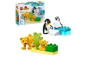 LEGO® - LEGO DUPLO 10442 Rodziny dzikich zwierząt: pingwiny i lwy - 10442