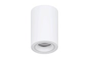 Inteligentny dom - EGLO CAROSSO-Z ceiling lamp white - 901169
