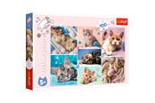 Puzzle - Trefl Puzzle - In the cat world (100 pieces) Podłoga - TFL16420