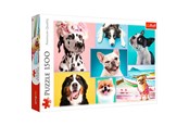 Puzzle - Trefl Puzzle - Puzzles Cute dogs (1500 pieces) Podłoga - TFL26186
