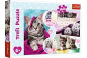 Puzzle - Trefl Puzzle - Lovely kittens (160 pieces) Podłoga - TFL15371
