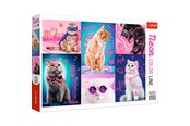 Puzzle - Trefl Puzzle - Super cats (1000 pieces) Podłoga - TFL10581