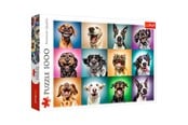 Puzzle - Trefl Puzzle - Funny dog portraits (1000 pieces) Podłoga - TFL10462
