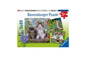 Puzzle - Ravensburger Jigsaw puzzle Young Kittens 3x49pcs. Podłoga - 080465