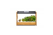Inteligentny dom - Click & Grow Click and Grow 25 - Black (Salad Greens 54x pack) - CG25BMAINSG