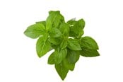 Inteligentny dom - Click & Grow Click and Grow Smart Garden Refill 3-pack - Dwarf Basil - SGR21X3