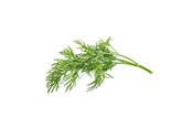 Inteligentny dom - Click & Grow Click and Grow Smart Garden Refill 3-pack - Dill - SGR49X3