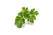 Inteligentny dom - Click & Grow Click and Grow Smart Garden Refill 3-pack - Plain Parsley - SGR68X3