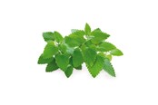 Inteligentny dom - Click & Grow Click and Grow Smart Garden Refill 3-pack - Catnip - SGR29X3