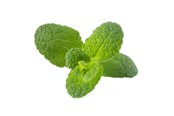 Inteligentny dom - Click & Grow Click and Grow Smart Garden Refill 3-pack - Apple Mint - SGR79X3
