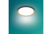 Lampy - Philips Pebblo UE Ceiling SS B 10W 40K - 929004116901