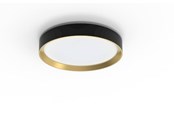 Lampy - Philips Hanno ceiling SS RD 24W 27K B_G - 929004115801