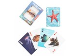gry-planszowe-karciane-i-kosci - Kikkerland - Fish 3D Cards - GG241