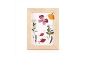Dekoracje - Kikkerland - HUCKLEBERRY PRESSED FLOWER FRAME (HB02-F) - HB02-F