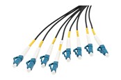 Kabel sieciowy - DIGITUS breakout cable - 100 m - black - Czarny - 100m - DK-2A338U100BK-BBB