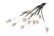 Kabel sieciowy - DIGITUS breakout cable - 30 m - black - Czarny - 30m - DK-2433CU030BK-BBB