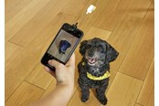 Telefon - Inne akcesoria - Kikkerland - Dog Treat Selfie Clip (DIG01) - DIG01