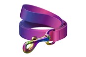 Psy - Waudog gradient nylon dog leash 20mm wide 122cm - 46619