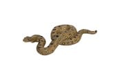 Figurki - Mojo - Wildlife Green Anaconda - 381007