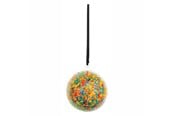 Artykuly Artystyczne & Rzemieslnicze - Colorations - Fillable Ornament Transparent Ball Set of 12 - 27EN01