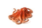 Figurki - Mojo - Sealife Octopus - 387275
