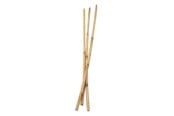 Artykuly Artystyczne & Rzemieslnicze - Colorations - Bamboo sticks 50cm 3 pcs. - 38WD04