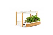 Inteligentny dom - Click & Grow Click and Grow 25 - White (Salad Greens 54x pack) - CG25WMAINSG