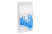 Zabawki drewniane - Playwood - Wooden Milk Carton - PW2254A