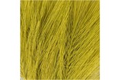 Kreatywne gry - Creativ Company Artificial feathers Green 10 pcs. - 518058