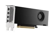 Karta graficzna - Dell RTX 2000 Ada - 16GB GDDR6 RAM - Karta graficzna - DELL-M7X81