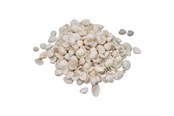 Artykuly Artystyczne & Rzemieslnicze - Colorations - Small Ark Shells 500 grams - 38WD12