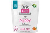 Psy - Brit Care Dog Grain-free Puppy Salmon 1 kg - 100-172193