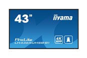 Monitory reklamowe i Telewizory hotelowe - iiyama ProLite LH4365UHSB-B1 - 3840x2160 (4K) - 60Hz - IPS - LH4365UHSB-B1