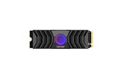 Dysk SSD - Lexar Professional NM1090 SSD - 1TB - M.2 2280 - PCIe 5.0 - LNM1090001T-RNANG