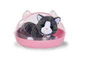 Lalki i akcesoria - Baby Born My Cat Cookie with Box - 837580