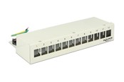 Akcesoria sieciowe - DeLOCK Keystone Desktop Patch Panel - 12 Ports - 43335