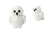Plusz - Harry Potter WB - Hedwig (25cm) - 6305870310NPB