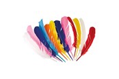 Przebranie karnawalowe - Boland - Indian Feathers 12pcs. - 44135